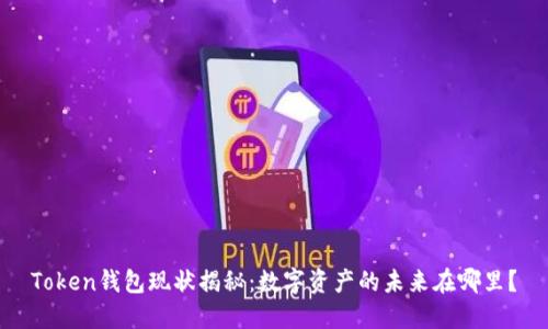 Token钱包现状揭秘：数字资产的未来在哪里？