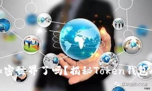 你准备好进入加密世界了吗？揭秘Token钱包APP的无限可能！