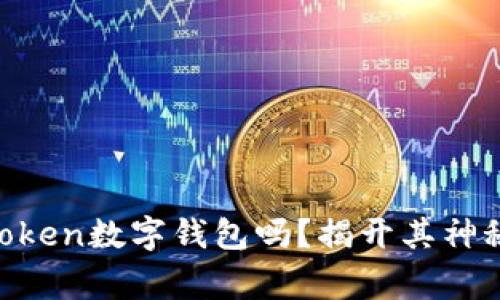 你真的了解91 Token数字钱包吗？揭开其神秘面纱的背后故事