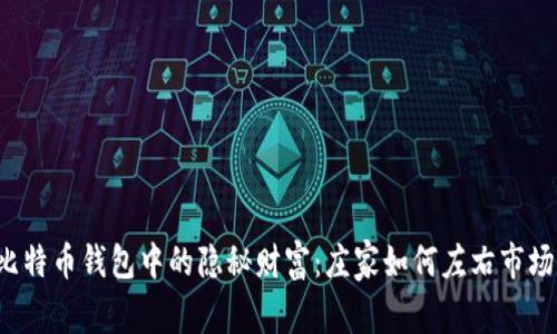 比特币钱包中的隐秘财富：庄家如何左右市场？