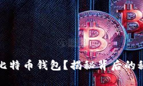 如何轻松获得比特币钱包？揭秘背后的秘密与选择技巧