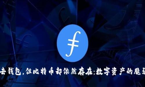 当你失去钱包，但比特币却依然存在：数字资产的脆弱与希望