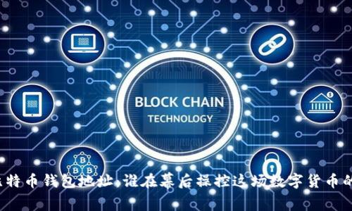 揭秘比特币钱包地址：谁在幕后操控这场数字货币的革命？