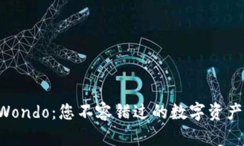 以太坊钱包Wondo：您不容错过的数字资产保护新选择！
