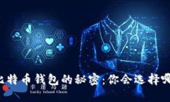 不同比特币钱包的秘密：