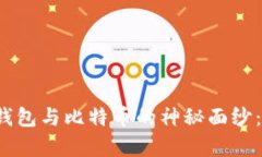 揭开数字资产钱包与比特