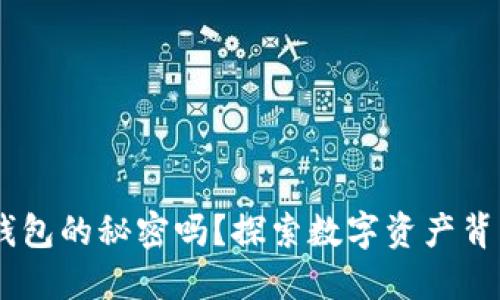 你知道token钱包的秘密吗？探索数字资产背后的精彩世界！