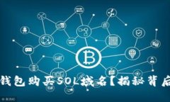 如何用麦子钱包购买SOL域