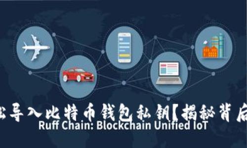 如何轻松导入比特币钱包私钥？揭秘背后的秘密！