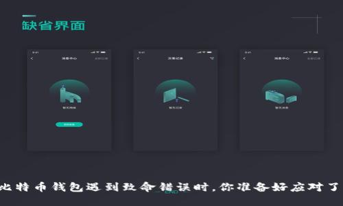 当比特币钱包遇到致命错误时，你准备好应对了吗？