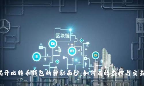 揭开比特币钱包的神秘面纱：如何有效监控与交易？