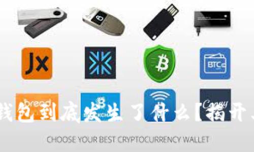 Plus Token钱包到底发生了什么？揭开其背后的谜团