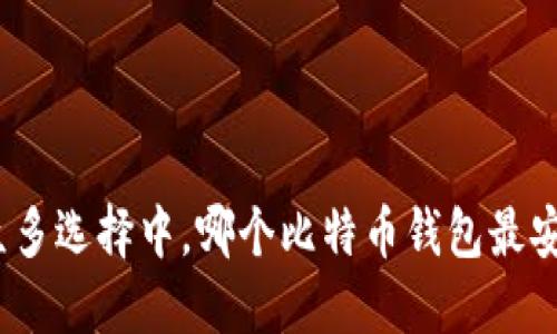 在众多选择中，哪个比特币钱包最安全？
