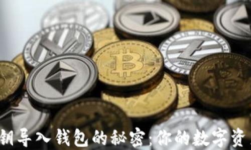 
揭秘以太坊私钥导入钱包的秘密：你的数字资产安全无忧吗？