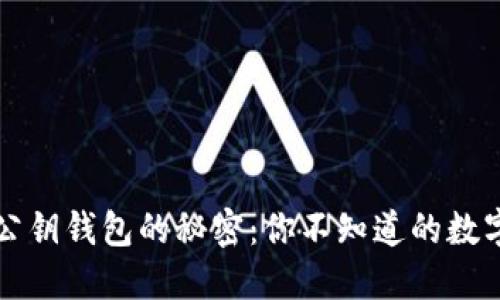 比特币私钥与公钥钱包的秘密：你不知道的数字资产保护技巧