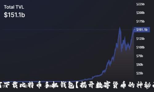   
如何下载比特币手机钱包？揭开数字货币的神秘面纱