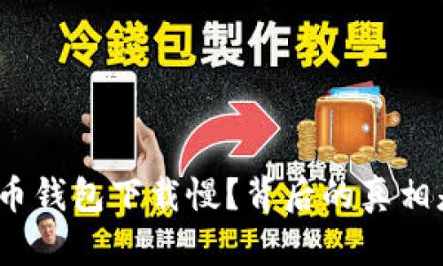 : 比特币钱包下载慢？背后的真相是什么？