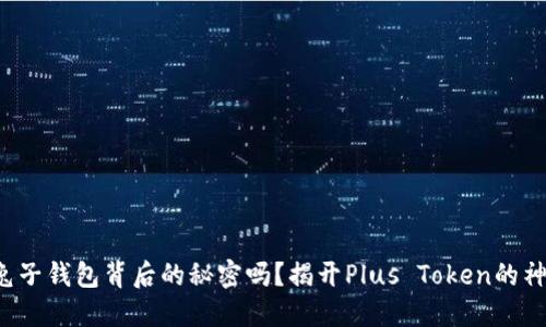 你知道兔子钱包背后的秘密吗？揭开Plus Token的神秘面纱！