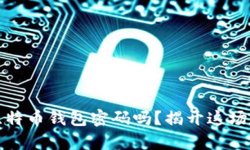 你真的能找回比特币钱包密码吗？揭开这场数字财富的迷雾