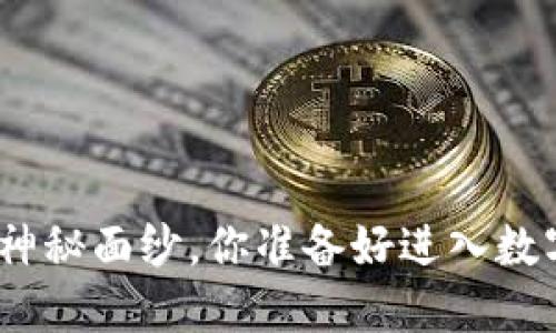揭开S-Token钱包的神秘面纱，你准备好进入数字货币的新时代了吗？