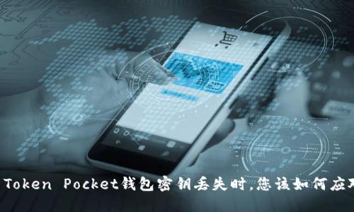 当Token Pocket钱包密钥丢失时，您该如何应对？