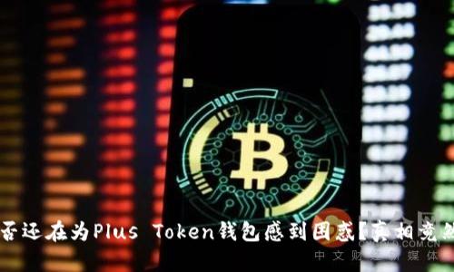 你是否还在为Plus Token钱包感到困惑？真相竟然是…