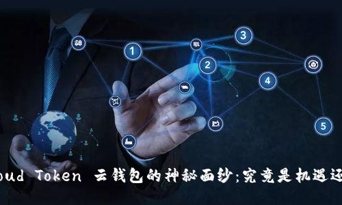 揭开 Cloud Token 云钱包的神秘面纱：究竟是机遇还是骗局？