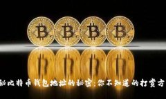 揭秘比特币钱包地址的秘