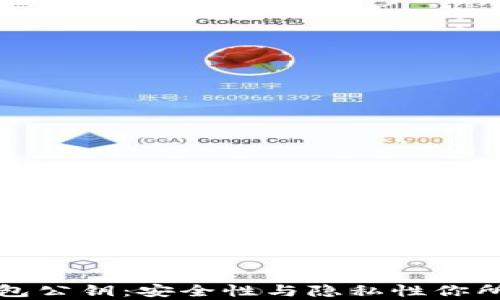 
揭秘比特币钱包公钥：安全性与隐私性你所不知道的真相