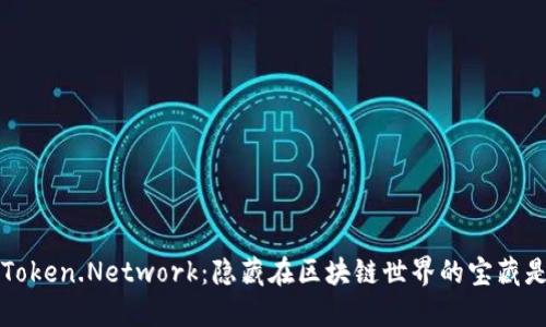 揭秘VToken.Network：隐藏在区块链世界的宝藏是什么？