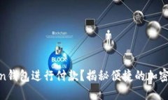 如何使用Token钱包进行付款
