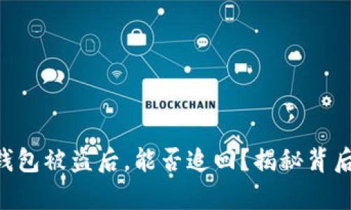 Token钱包被盗后，能否追回？揭秘背后的真相