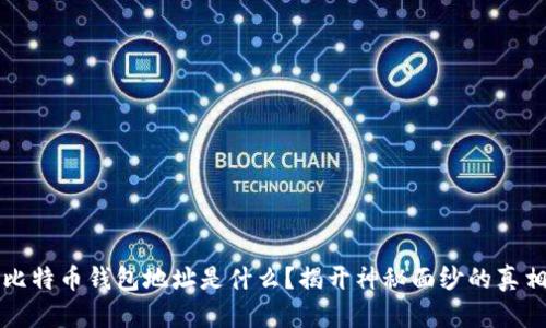 比特币钱包地址是什么？揭开神秘面纱的真相