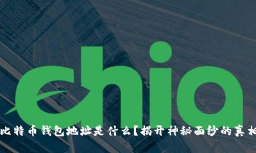 比特币钱包地址是什么？揭开神秘面纱的真相