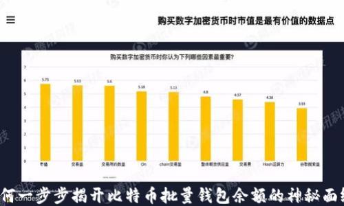 
如何一步步揭开比特币批量钱包余额的神秘面纱？