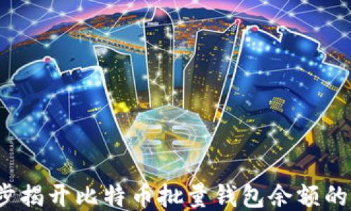 
如何一步步揭开比特币批量钱包余额的神秘面纱？