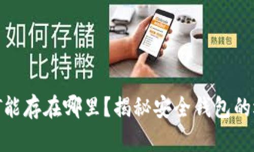 USDT能存在哪里？揭秘安全钱包的选择！