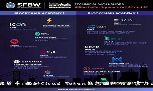 云端货币：揭秘Cloud Token钱包团队的秘密与愿景
