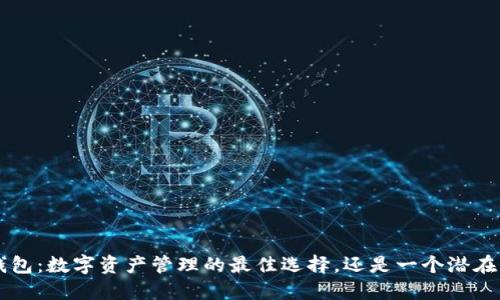 Token钱包：数字资产管理的最佳选择，还是一个潜在的风险？