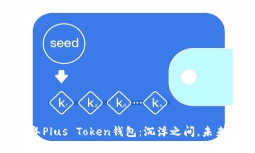 2024年Plus Token钱包：沉浮之间，未来何在？