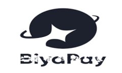 如何轻松找到你的比特币