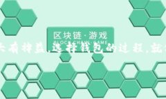    揭秘：哪些钱包能够存
