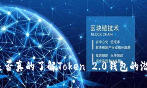 你是否真的了解Token 2.0钱包的潜力？