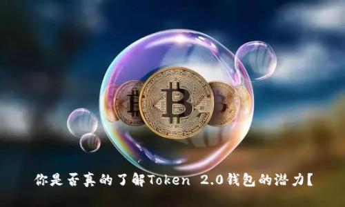 你是否真的了解Token 2.0钱包的潜力？
