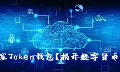 怎样安全地使用塞Token钱包？揭开数字货币钱包的神秘面纱！