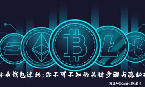 比特币钱包迁移：你不可不知的关键步骤与隐秘挑战