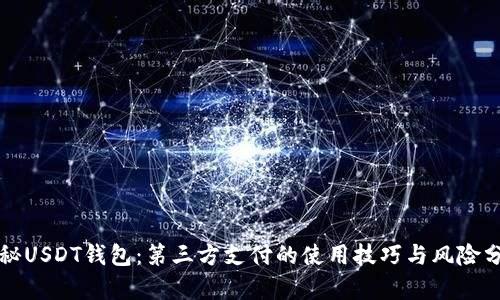 揭秘USDT钱包：第三方支付的使用技巧与风险分析