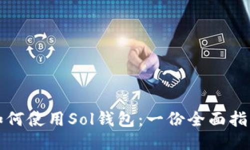 如何使用Sol钱包：一份全面指南