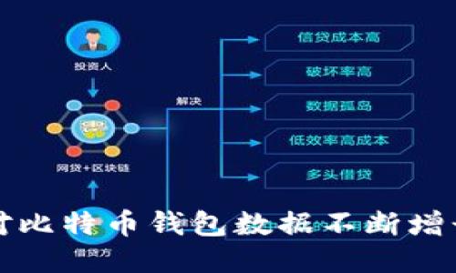 如何应对比特币钱包数据不断增长的问题
