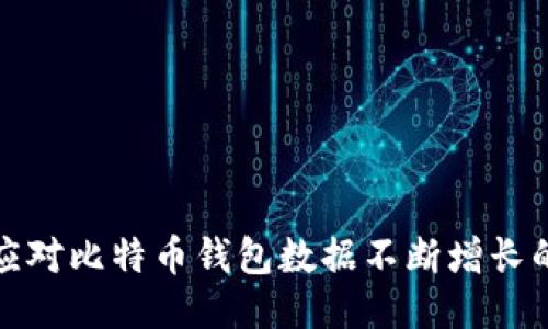 如何应对比特币钱包数据不断增长的问题